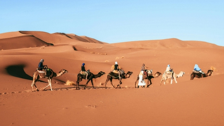 fes tours